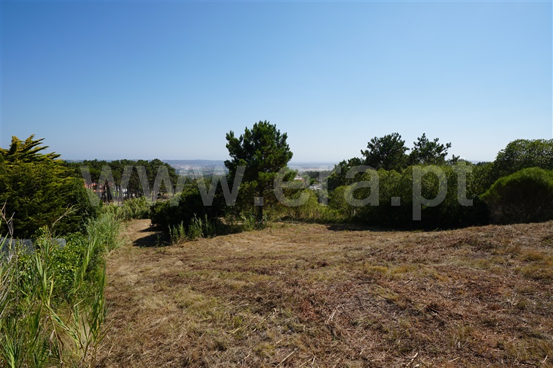 Terreno com ruina / Alcobaça, São Martinho do Porto