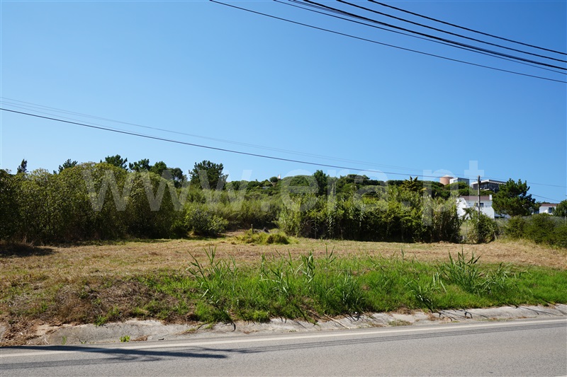 Terreno com ruina  Alcobaça, São Martinho do Porto - 1498865 - 5