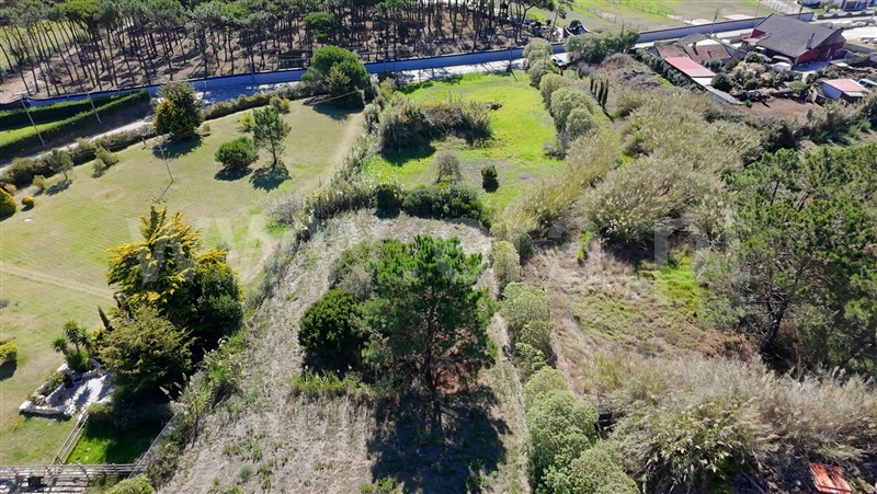 Terreno com ruina / Alcobaça, São Martinho do Porto