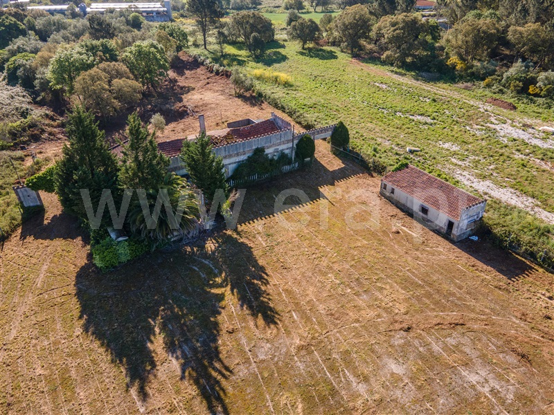Terreno com ruina  Alcobaça, Turquel - 1319095 - 3