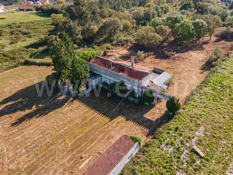 Terreno com ruina  Alcobaça, Turquel - 1319095 - 4
