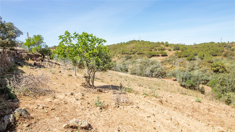 Terreno com ruina  Alcoutim, Alcoutim e Pereiro - 1226682 - 18