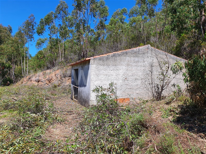 Terreno com ruina / Aljezur, Aljezur