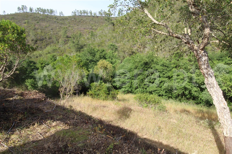 Terreno com ruina  Aljezur, Odeceixe - 1336658 - 5