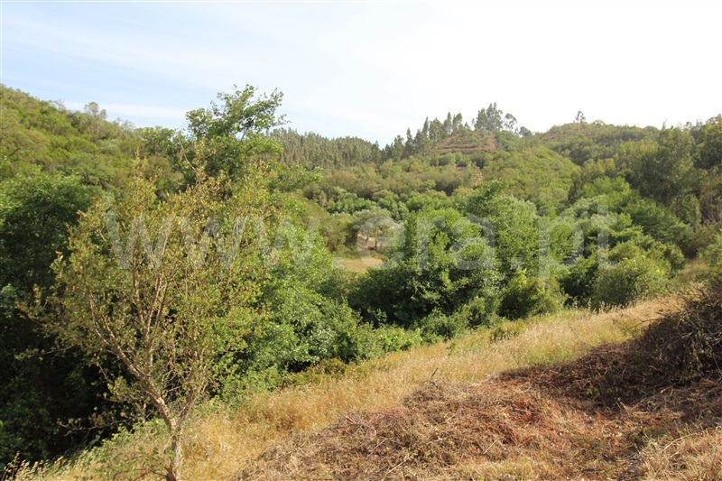 Terreno com ruina  Aljezur, Odeceixe - 1336658 - 6