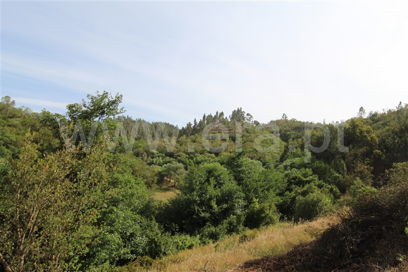 Terreno com ruina  Aljezur, Odeceixe - 1336658 - 7