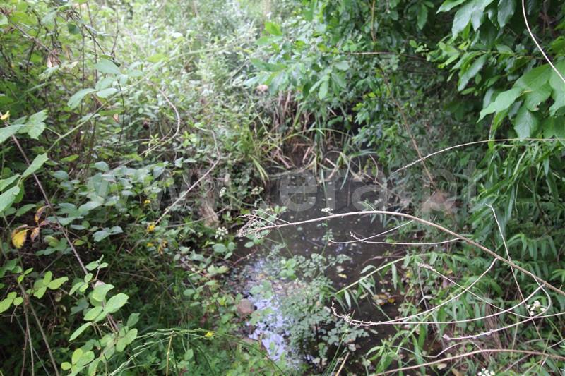Terreno com ruina  Aljezur, Odeceixe - 1336658 - 8