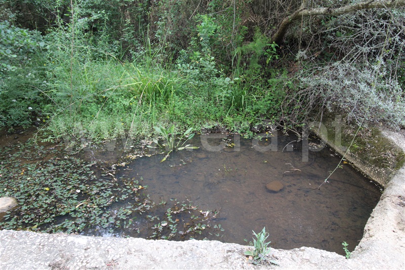Terreno com ruina  Aljezur, Odeceixe - 1336658 - 9