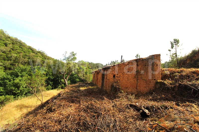 Terreno com ruina / Aljezur, Zambujeira de Baixo