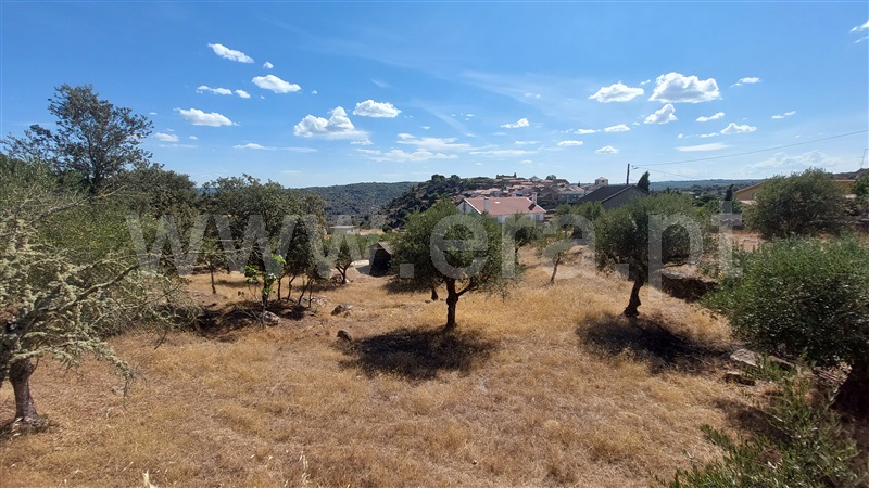 Terreno com ruina / Almeida, Castelo Mendo, Ade, Monteperobolso e Mesquitela