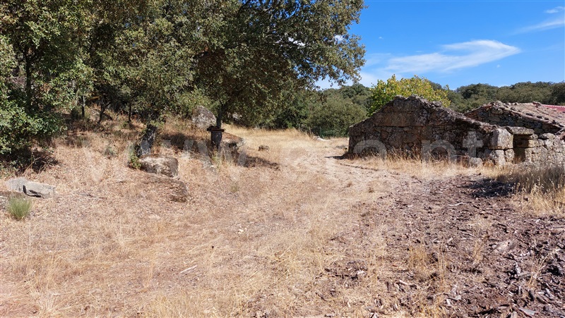 Terreno com ruina  Almeida, Castelo Mendo, Ade, Monteperobolso e Mesquitela - 1203153 - 4