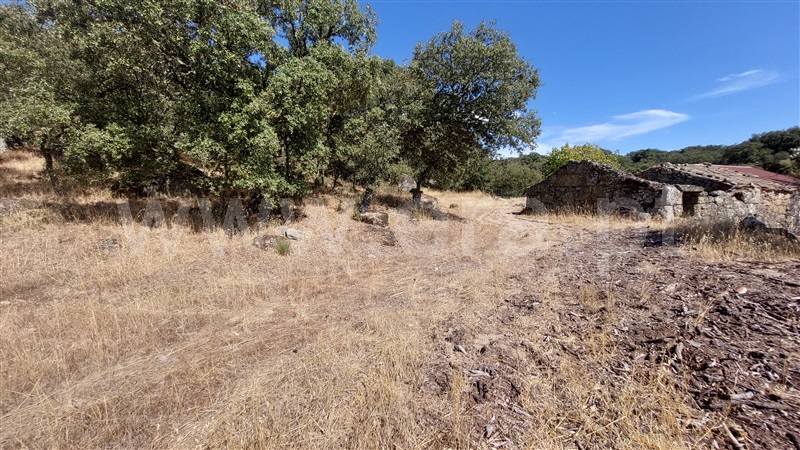 Terreno com ruina  Almeida, Castelo Mendo, Ade, Monteperobolso e Mesquitela - 1203153 - 5