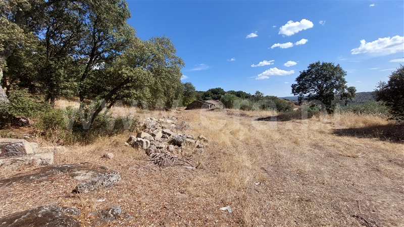 Terreno com ruina  Almeida, Castelo Mendo, Ade, Monteperobolso e Mesquitela - 1203153 - 7
