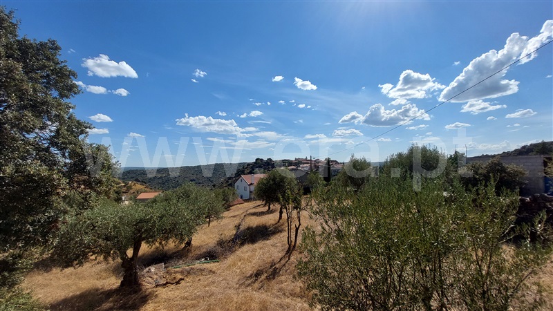 Terreno com ruina  Almeida, Castelo Mendo, Ade, Monteperobolso e Mesquitela - 1203153 - 8