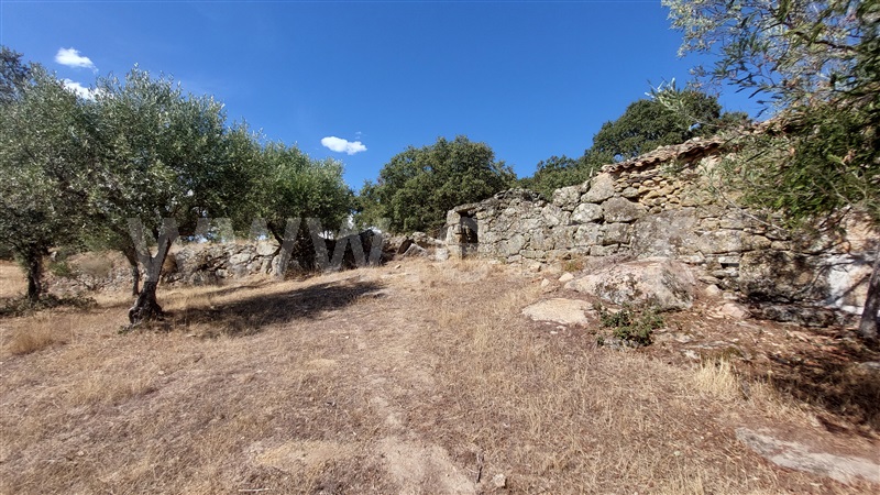 Terreno com ruina  Almeida, Castelo Mendo, Ade, Monteperobolso e Mesquitela - 1203153 - 10