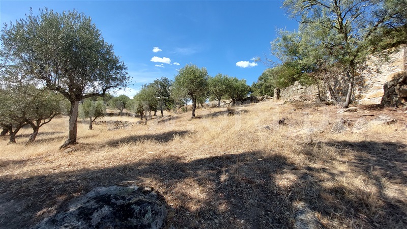 Terreno com ruina  Almeida, Castelo Mendo, Ade, Monteperobolso e Mesquitela - 1203153 - 11