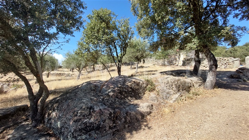 Terreno com ruina  Almeida, Castelo Mendo, Ade, Monteperobolso e Mesquitela - 1203153 - 12