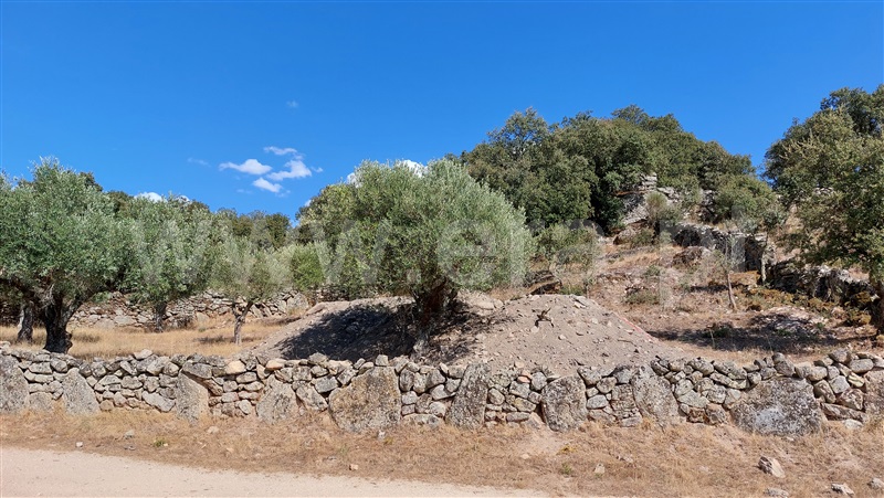 Terreno com ruina  Almeida, Castelo Mendo, Ade, Monteperobolso e Mesquitela - 1203153 - 13