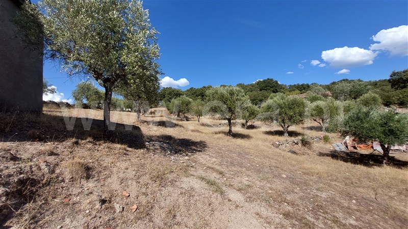 Terreno com ruina  Almeida, Castelo Mendo, Ade, Monteperobolso e Mesquitela - 1203153 - 15