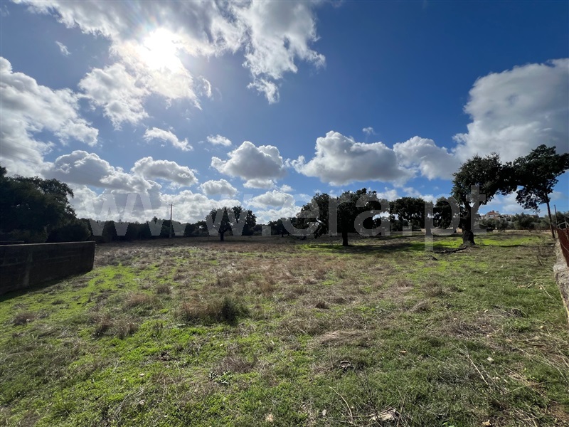 Terreno C/ Ruína,  Chancelaria, Alter do Chão   - 1437573 - 5