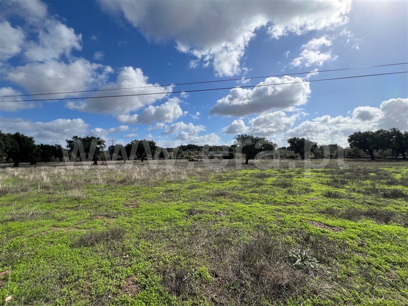 Terreno C/ Ruína,  Chancelaria, Alter do Chão  - 1437573 - 18