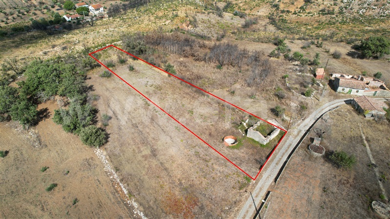 Terreno com ruina / Alvaiázere, Almoster