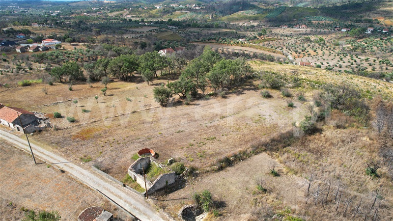 Terreno com ruina  Alvaiázere, Almoster - 1361566 - 14