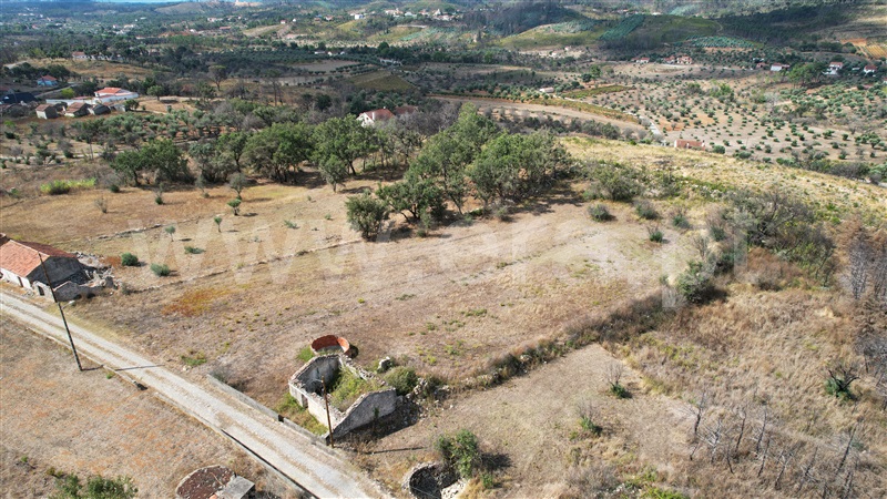 Terreno com ruina  Alvaiázere, Almoster - 1361566 - 19