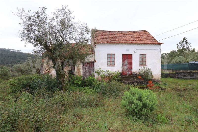 Terreno com ruina T2 Alvaiázere - 1237089 - 13