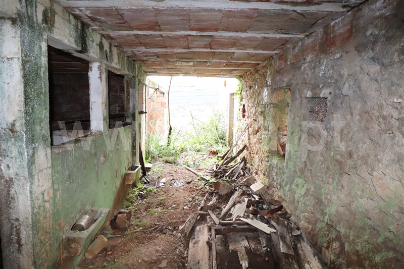 Terreno com ruina T2 Alvaiázere - 1237089 - 15