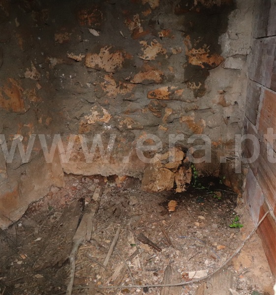 Terreno com ruina T2 Alvaiázere - 1237089 - 19