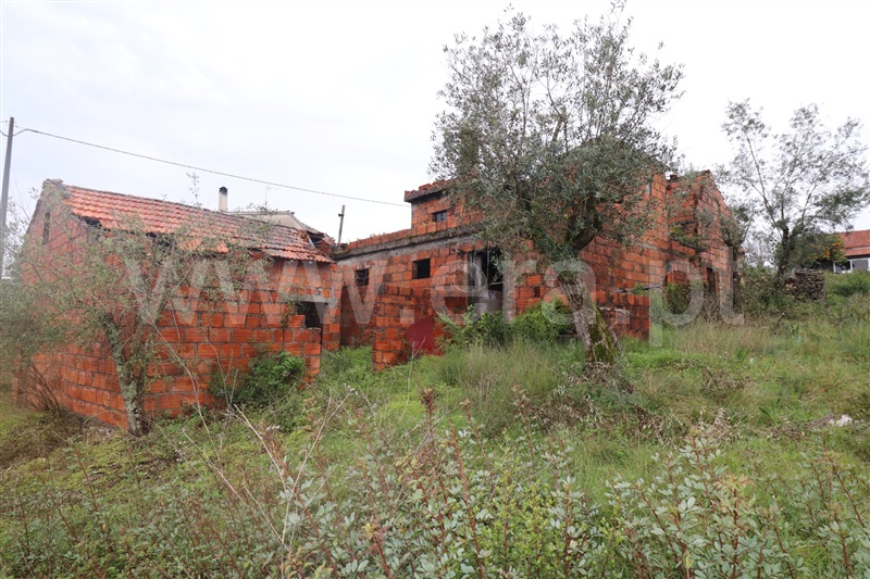 Terreno com ruina T2 Alvaiázere - 1237089 - 20