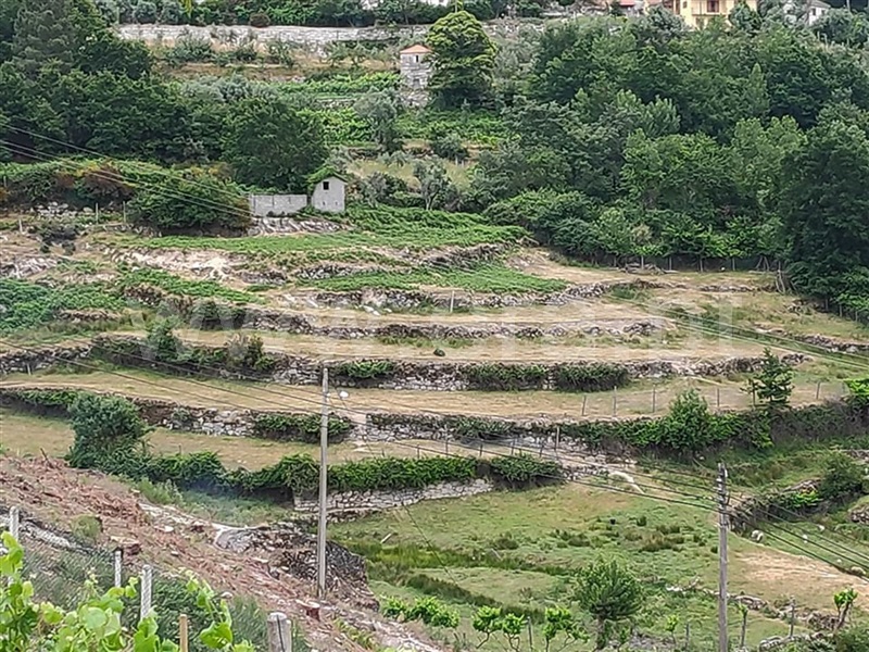 Terreno com ruina / Amarante, Ansiães