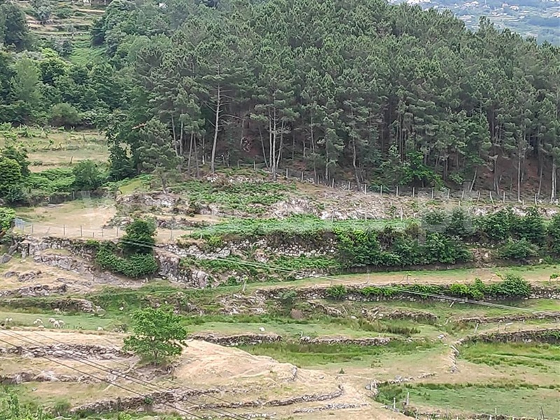 Terreno com ruina  Amarante, Ansiães - 699619 - 3