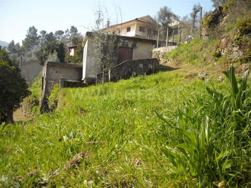 Terreno com ruina / Amarante, Candemil