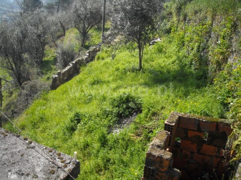 Terreno com ruina  Amarante, Candemil - 635037 - 4