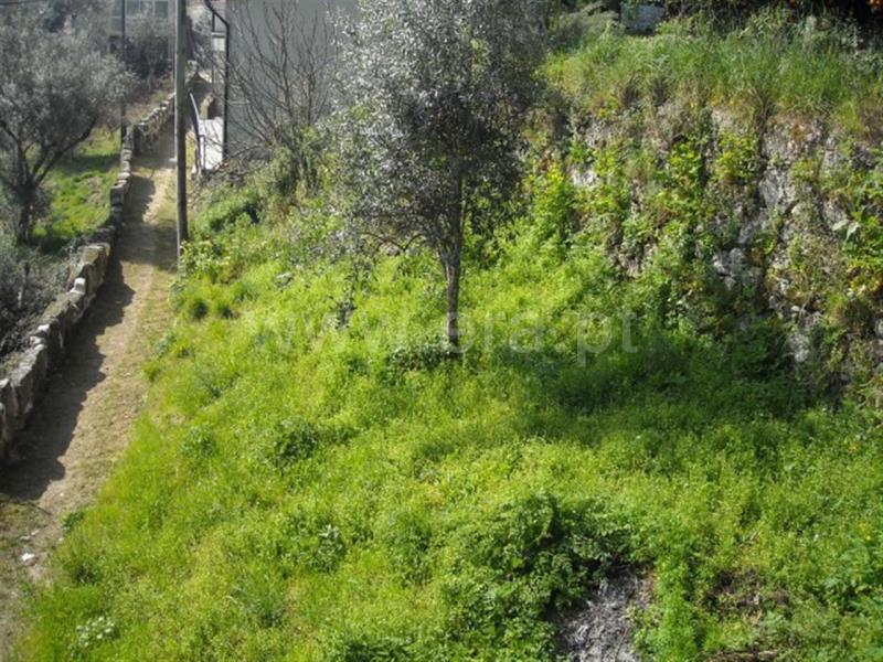 Terreno com ruina  Amarante, Candemil - 635037 - 6