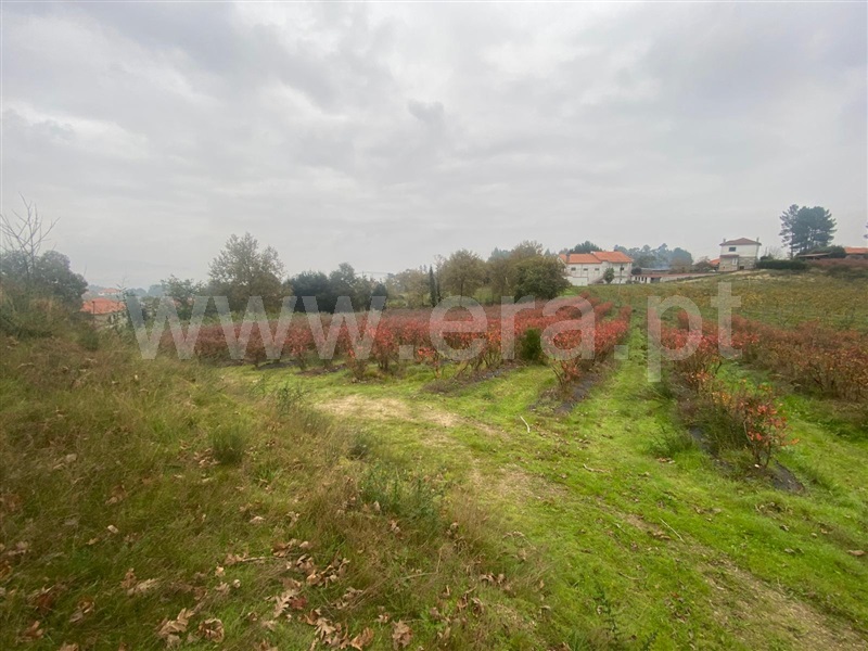 Terreno com ruina  Amarante, Lomba - 1446927 - 2