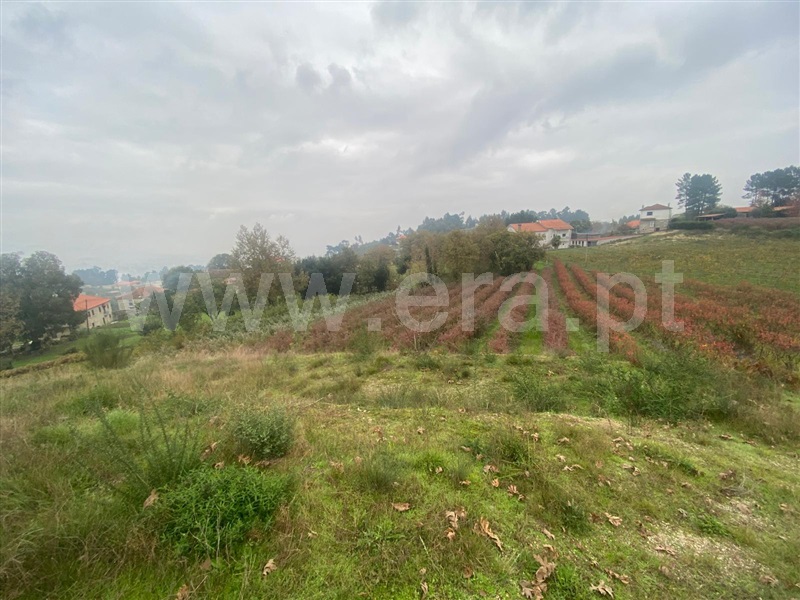 Terreno com ruina  Amarante, Lomba - 1446927 - 6