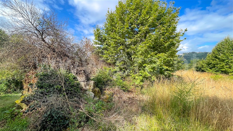Terreno com ruina  Amarante, Mancelos - 1346702 - 6