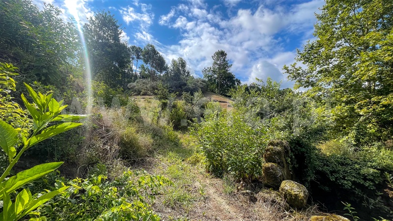 Terreno com ruina  Amarante, Mancelos - 1346702 - 8
