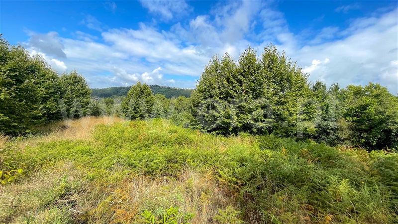 Terreno com ruina  Amarante, Mancelos - 1346702 - 9