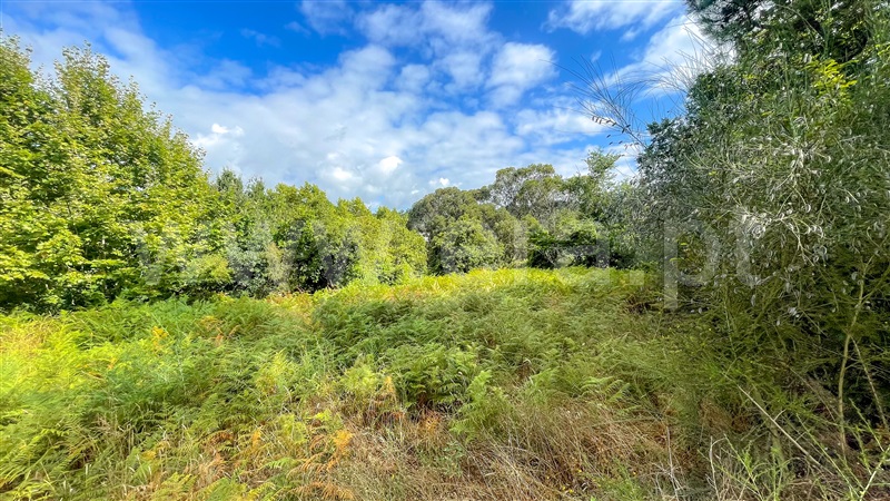 Terreno com ruina  Amarante, Mancelos - 1346702 - 10