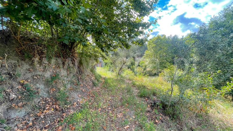 Terreno com ruina  Amarante, Mancelos - 1346702 - 13