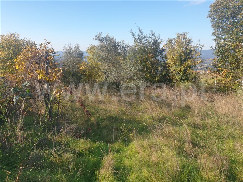 Terreno com ruina  Amarante, Vila Chã do Marão - 1133133 - 8