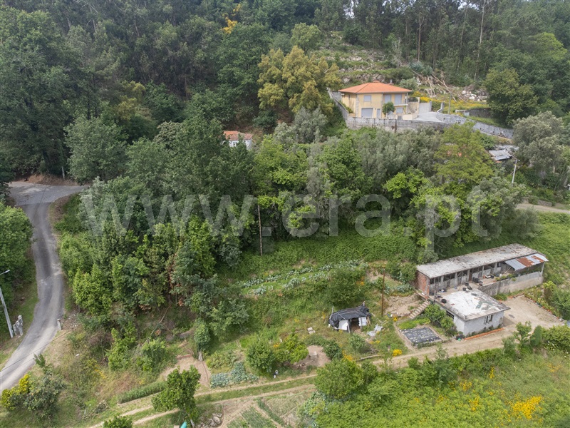 Apartamento  Amares, Termas de Caldelas - 1325610 - 9