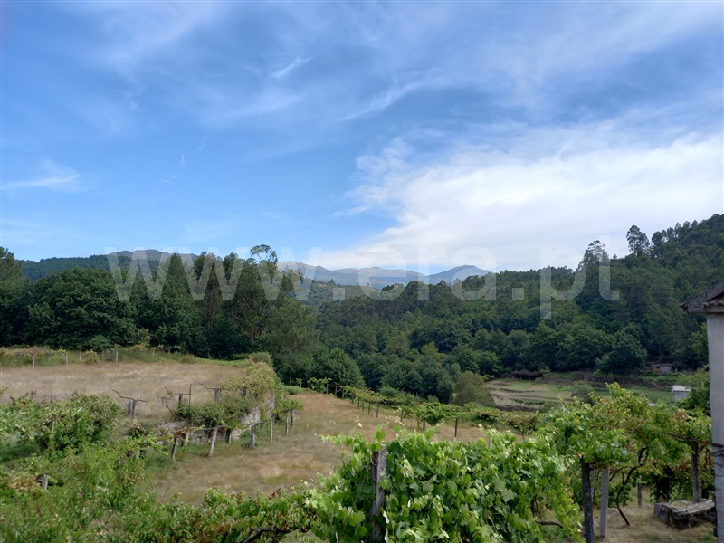 Terreno com ruina  Arcos de Valdevez, Grade e Carralcova - 1189933 - 5