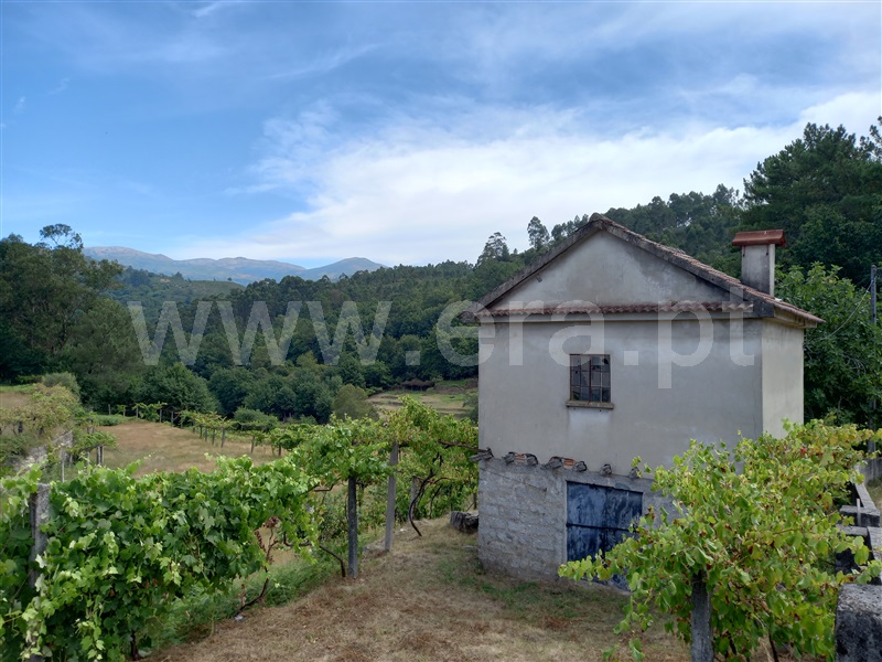 Terreno com ruina  Arcos de Valdevez, Grade e Carralcova - 1189933 - 3