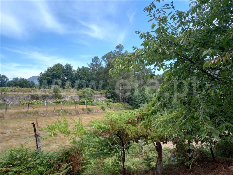 Terreno com ruina  Arcos de Valdevez, Grade e Carralcova - 1189933 - 6