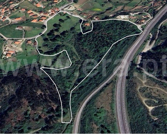 Terreno com ruina / Arcos de Valdevez, Paçô